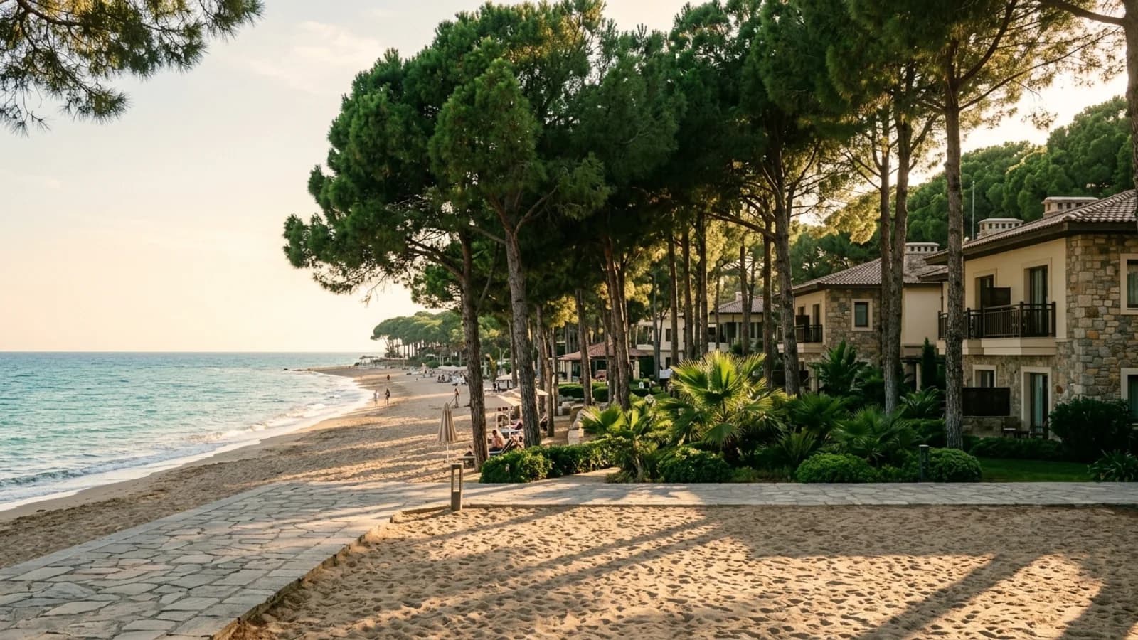 Sorgun beach and pine forest resort Tall pine trees of a forest meet the sandy beach and hotels in Sorgun under dappled shade.